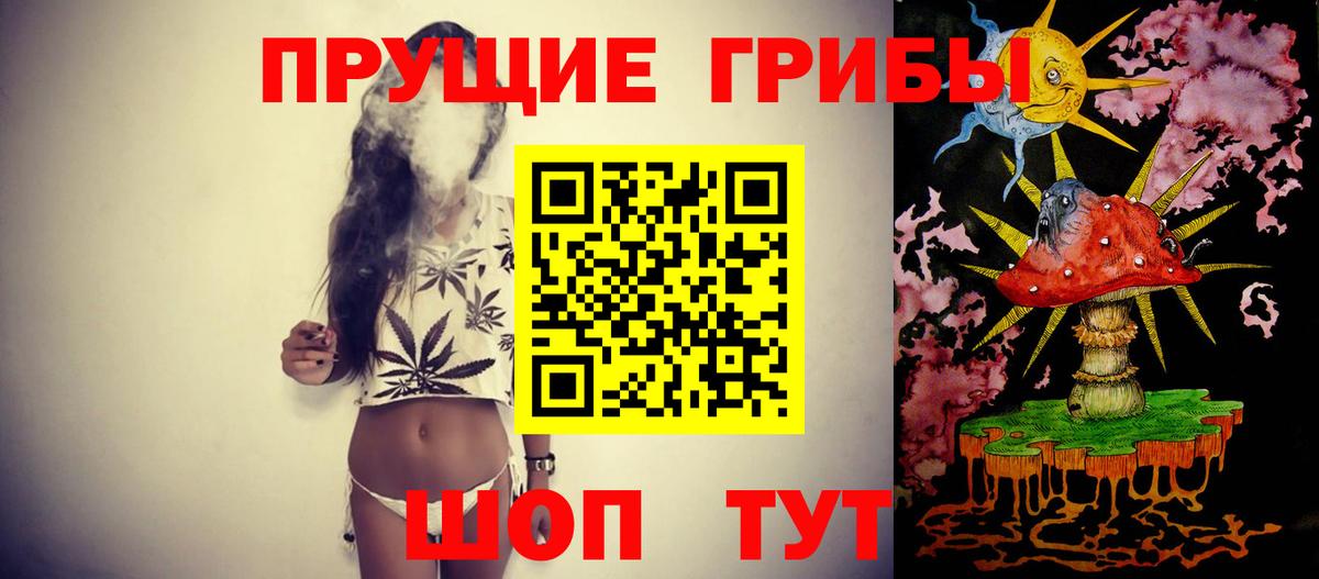 Псилоцибиновые грибы прущие грибы Кемерово