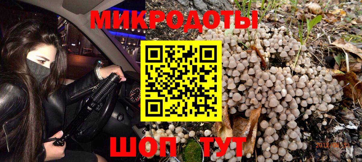 Псилоцибиновые грибы мицелий  Вход с VPN  Кемерово 
